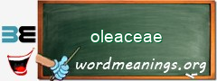 WordMeaning blackboard for oleaceae